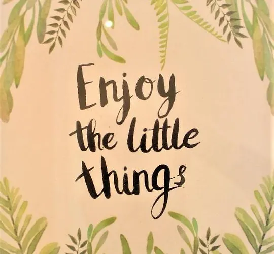 Youhome Millelire